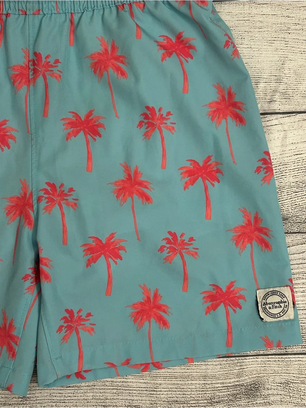 Abercrombie Kids swim trunks size 11/12 boys